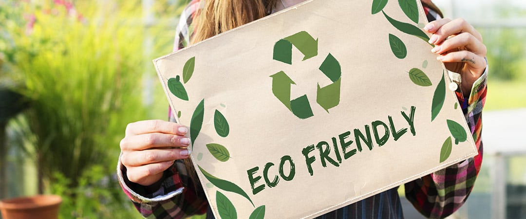 essay on eco friendly material
